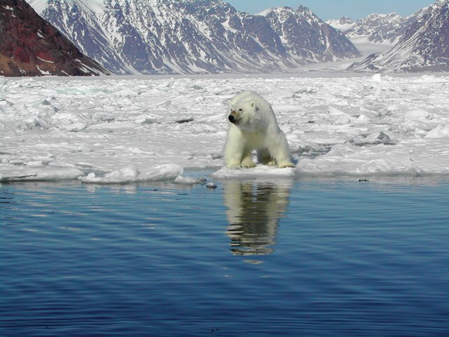 Svalbard Norway Photo 20